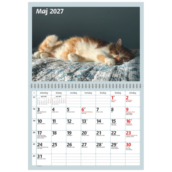 Katter 2027 | 29×21 cm