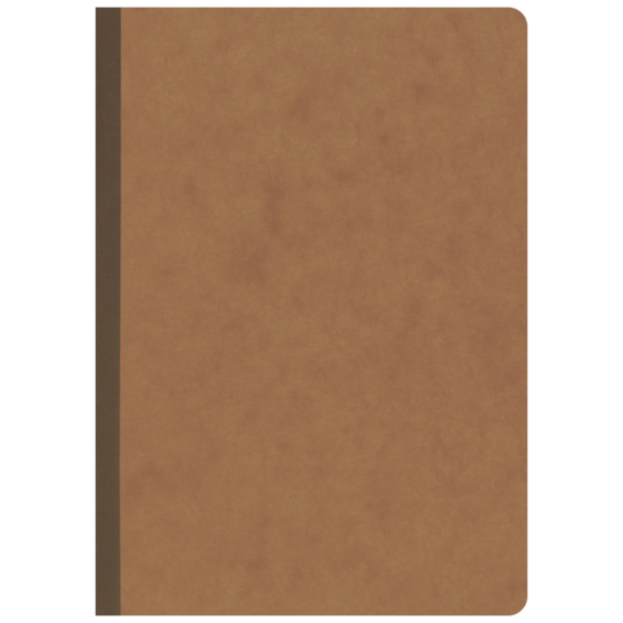 Anteckningsbok Kladde FACT!plus, A5, 96 blad / 192 sidor, oreglerad, brun