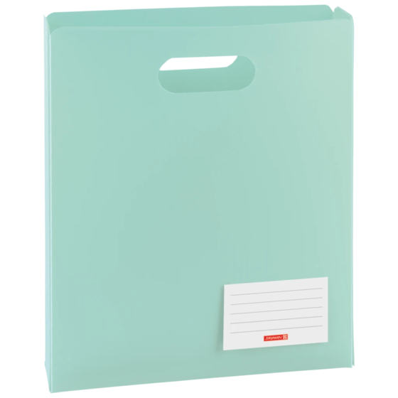 Box för häften FACT!pp | A4, Påfyllningsnivå: 50 mm, mint
