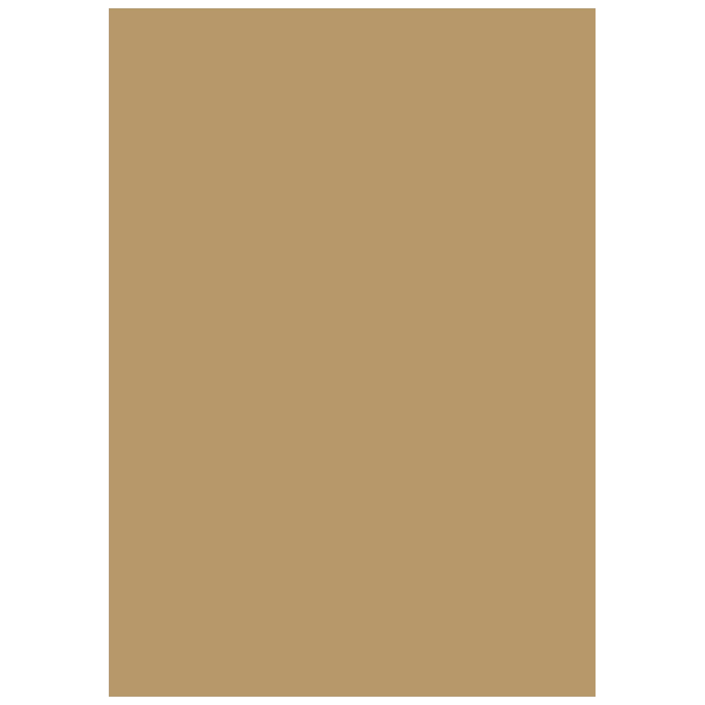 Multifunktionellt papper Universellt papper | A4, 160 g/m², sand, 25 blad